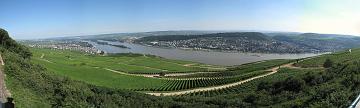 091, The Black Forest & The Rhine, Germany, 12-23 August 2010, Panoramic View of The Rhine from Niederwald Monument